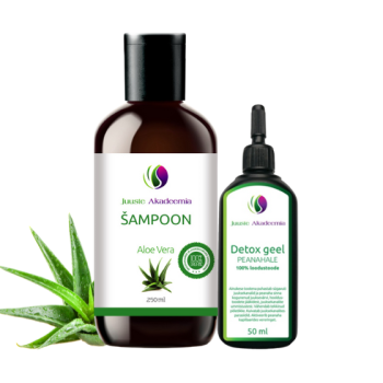 JuusteAkadeemia Aloe Vera šampoon ja Detox geel.png
